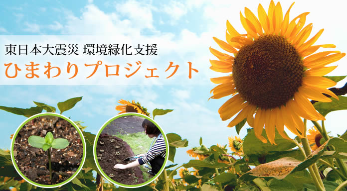 6/13(土)に宮城県名取市にて「ひまわりプロジェクト」の植栽イベントを行います。
